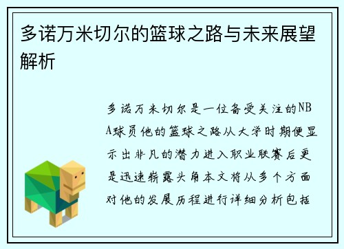 多诺万米切尔的篮球之路与未来展望解析