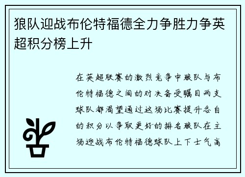 狼队迎战布伦特福德全力争胜力争英超积分榜上升